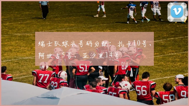 瑞士队球衣号码分配：扎卡10号、阿坎吉5号、亚沙里14号